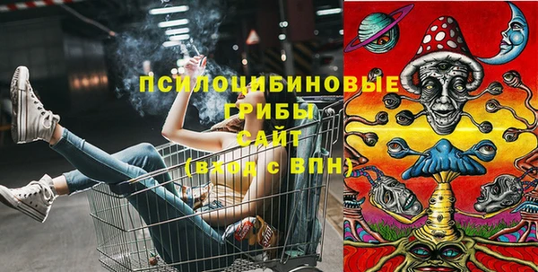 бошки Армянск