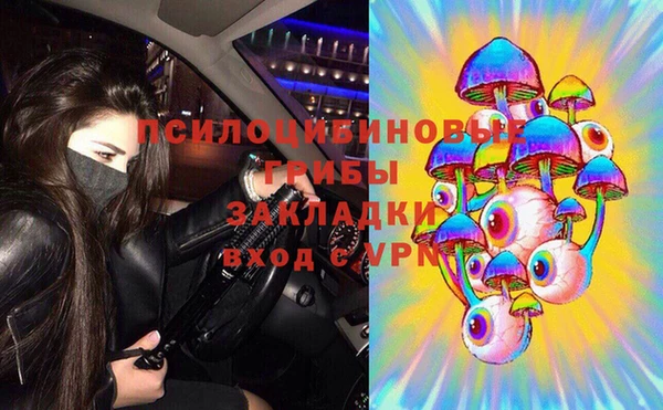 гидра Аркадак