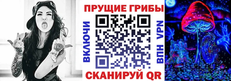 мега онион  купить наркотики цена  Туринск  Галлюциногенные грибы GOLDEN TEACHER 